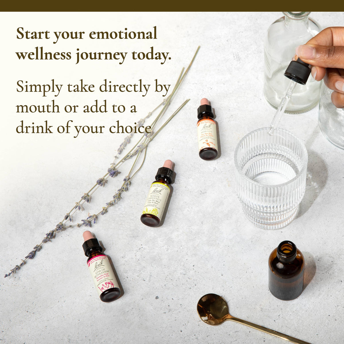 Bach Flower Essences, Full Set 38 set + 2 Rescue Remedy