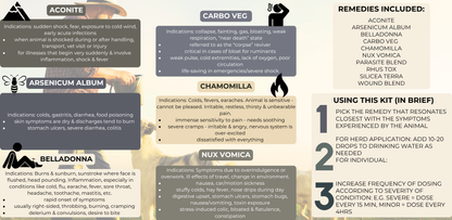 Veterinary First Aid Kit