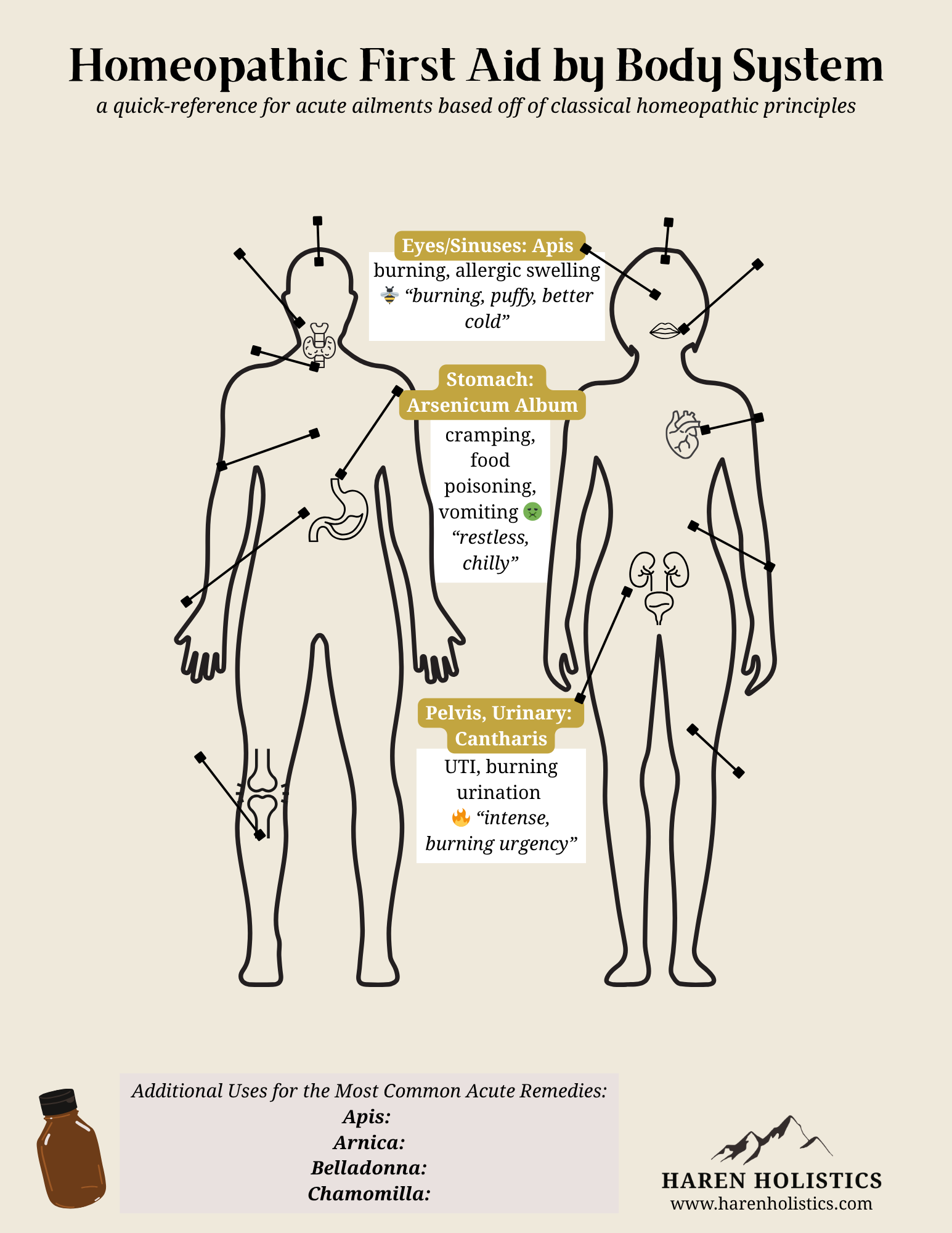 Homeopathic First Aid Body Map - Printable/Digital Download Reference ...
