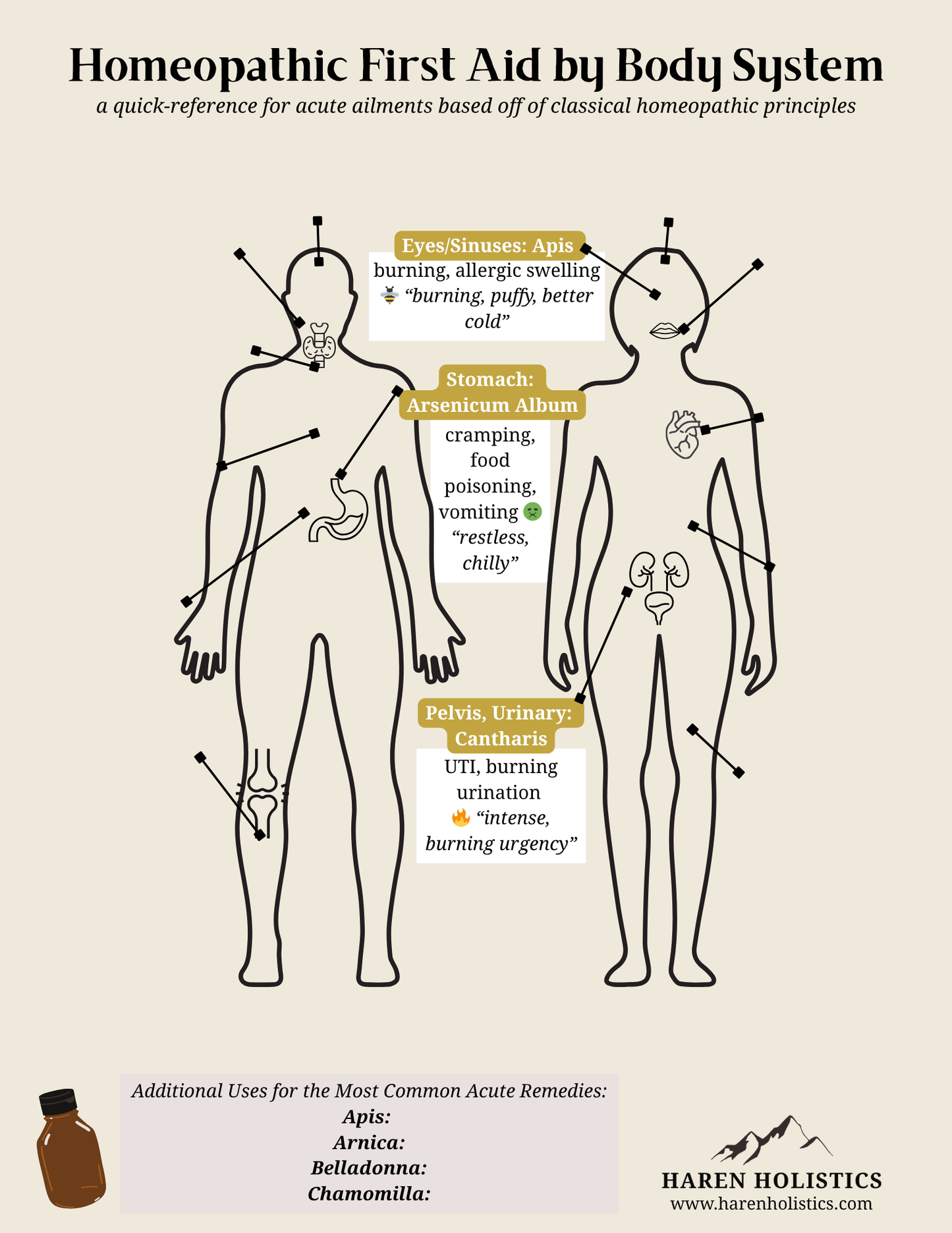 Homeopathic First Aid Body Map - Printable/Digital Download Reference Chart