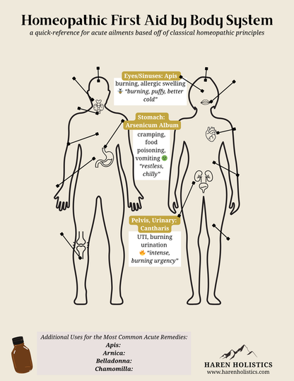 Homeopathic First Aid Body Map - Printable/Digital Download Reference Chart