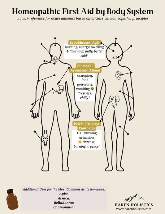 Homeopathic First Aid Body Map - Printable/Digital Download Reference Chart
