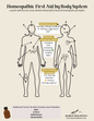 Homeopathic First Aid Body Map - Printable/Digital Download Reference Chart