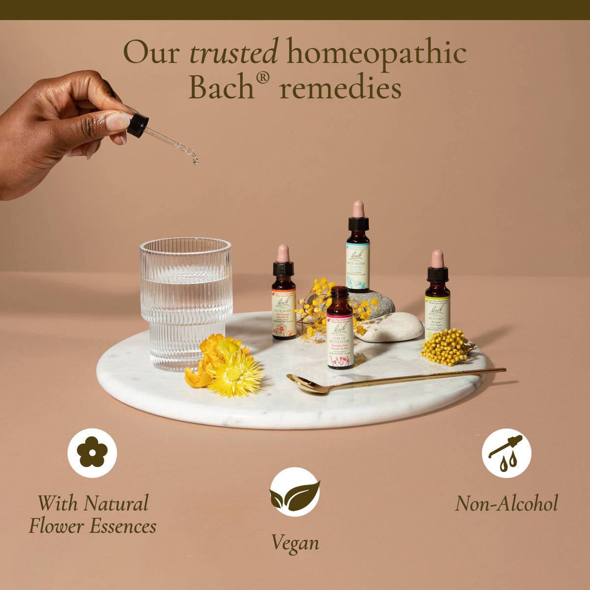 Bach Flower Essences, Full Set 38 set + 2 Rescue Remedy