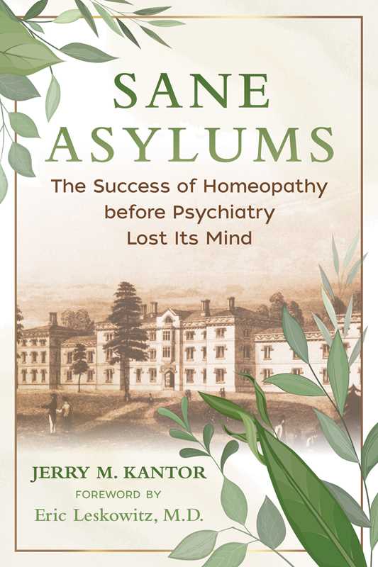 Sane Asylums by Jerry M. Kantor