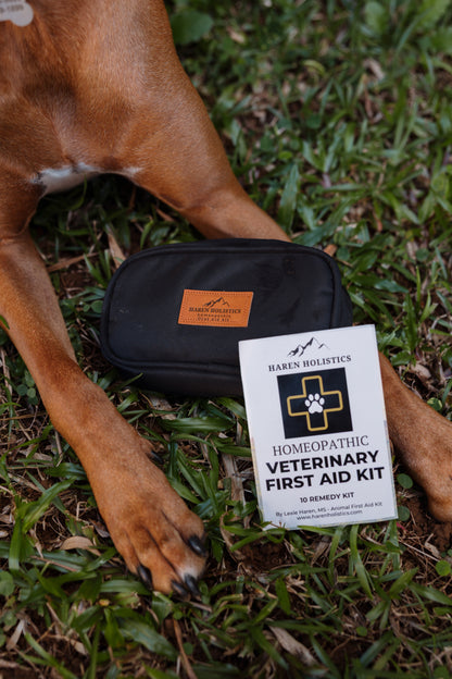 Veterinary First Aid Kit