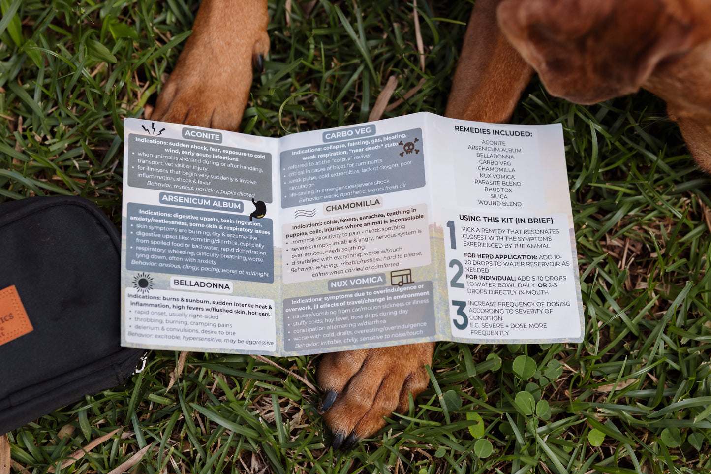 Veterinary First Aid Kit