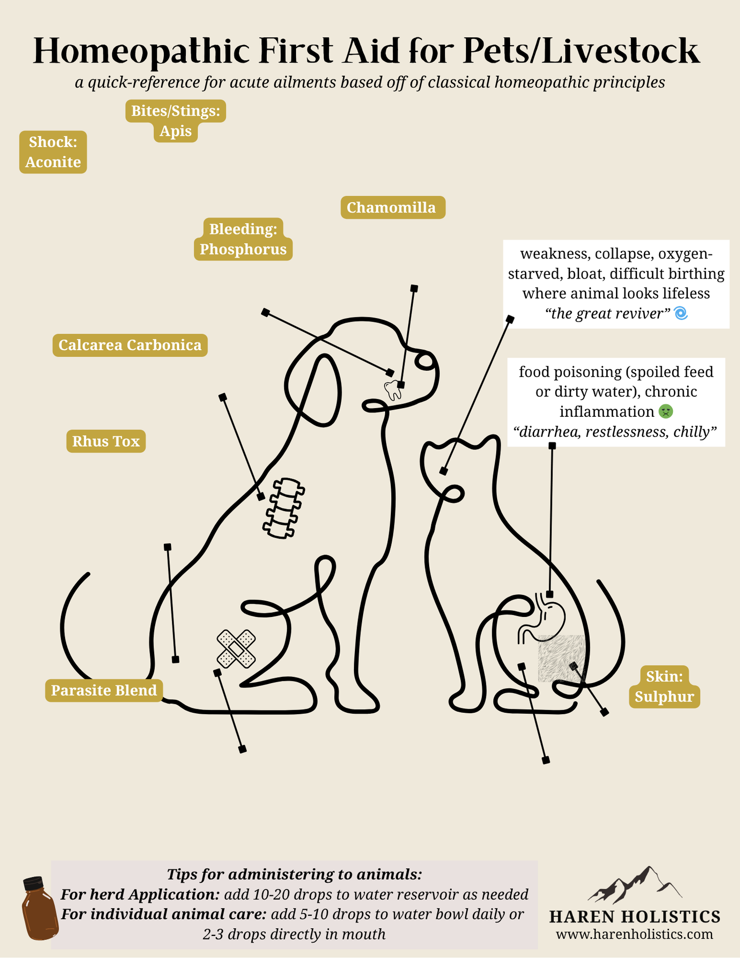 Homeopathic First Aid for Animals - Printable/Digital Download Reference Chart