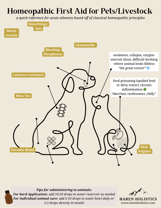 Homeopathic First Aid for Animals - Printable/Digital Download Reference Chart