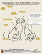 Homeopathic First Aid for Animals - Printable/Digital Download Reference Chart