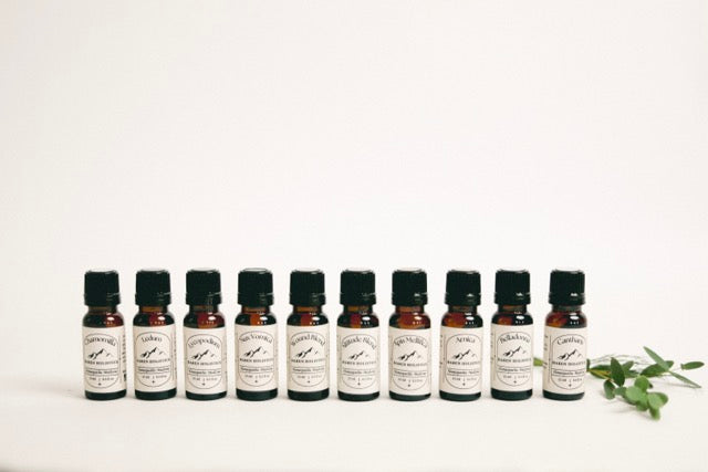 Wilderness First Aid Kit