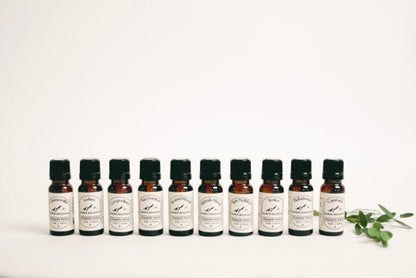 Wilderness First Aid Kit