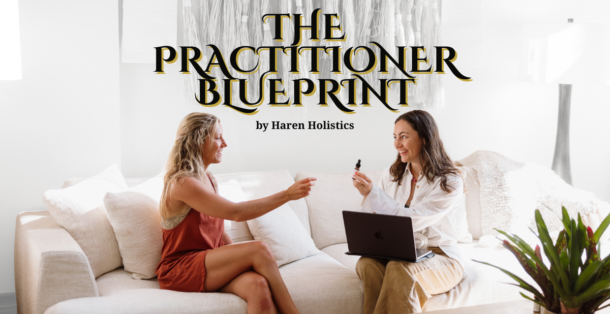 The Practitioner Blueprint